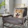 Decorative Ethel Pillow "Akita-Inu" 40x40 cm, Gabardin, 100% p/e