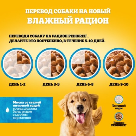Wet Pedigree food for dogs, beef/lamb in sauce, spider, 85 g-7