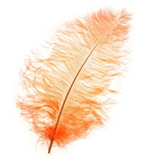 Feather for decor, length from 45 to 60 cm, pale coral color