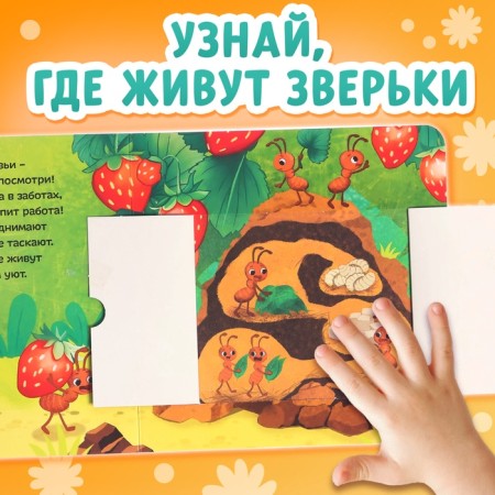 Cardboard books with windows “What is inside?”, A set of 3 pcs. 12 p.-6