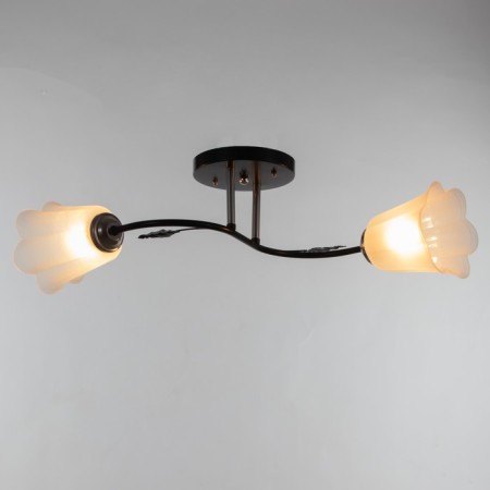 Lily chandelier (flower) 2x15W E27 Model: BR 00253 Black/Transparent-1