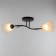 Lily chandelier (flower) 2x15W E27 Model: BR 00253 Black/Transparent