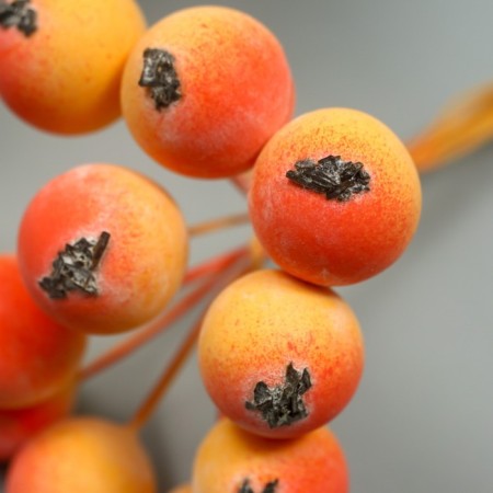 Decor for creativity "Berry Rowan" 1 bouquet = 10 berries orange-yellow 10x1.5 cm-3