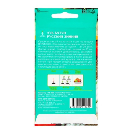 Semen onions "Russian" Winter Batun, 1 g-1