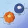 Balls for the washing of the share, set 4 pcs, d = 8 cm, blue/orange color