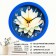Wall watches, D-28 cm, interior, "water lily", silent