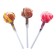 Caramel Lollice on the Frumics stick, Creamy, 10 g