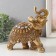 Souvenir Polystone "Elephant in the Golden Popon with Rhilizes" MIX 20x10x21 cm