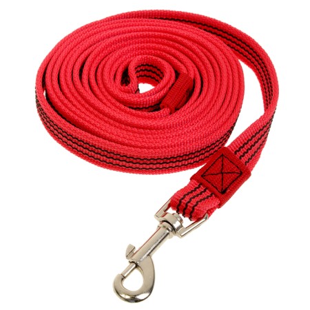 Kaponnoye Zononik leash with latex thread, 3 m x 2 cm, red