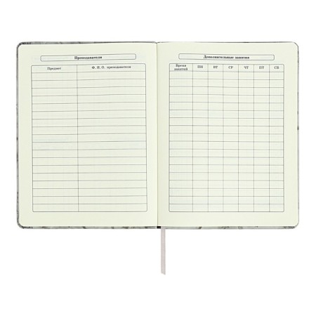 Diary 1-11 grade "Gray marble", artificial leather, a solid cover with embossing, with liesa, 48 sheets-6