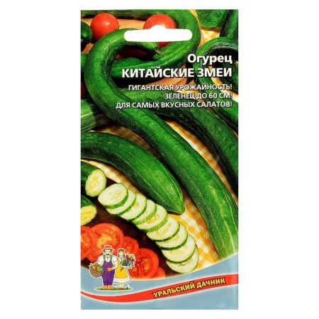 Seeds of the cucumber "Chinese snake", medium -lasting, bee -legged, 10 pcs-2