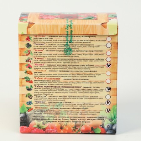 Gift set of syrup Altai basket No. 3, 4 pcs. 100 ml-2