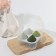 Makeup sponge, set - 4 pcs, increase when getting wet, green color