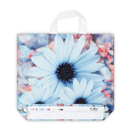 Darcy package, polyethylene with a loop pen, 37 x 34 cm, 70 μm-1