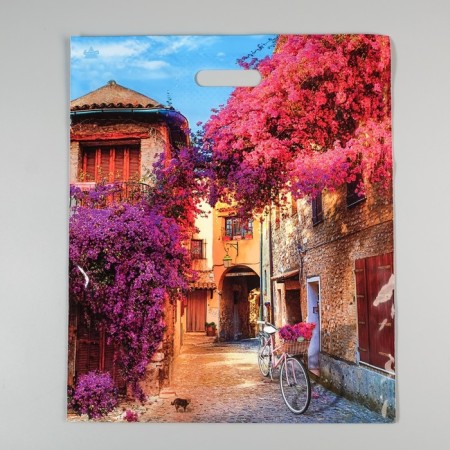 Package "Italian courtyard", polyethylene with a cut pen, 60 μm, 38 x 45 cm