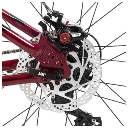 Bicycle 26 "Stinger Laguna Evo, red color, p. 15"-6