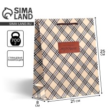 Gift package laminated, packaging, “real man”, ml, 25 x 21 x 8 cm
