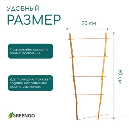 Shpalera, 60 × 20 × 1 cm, bamboo, "single", Greengo-3