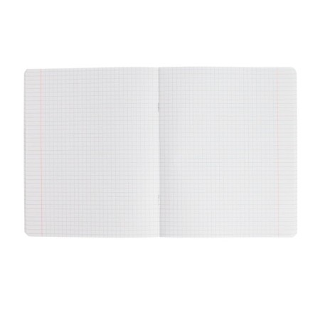 Notebook of 48 sheets in the “anime” cage, cover coated cardboard, varnish, offset block, mix-1