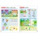 School of seven gnomes. Basic course. Set 5+. Denisova D.
