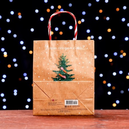 Gift package "Who has a Christmas tree today?" 18 x 22.3 x 10 cm-1