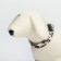 Collar with Militari's backlight 3 glow modes Size S, Osh 22-40 x 2.5 cm gray gray