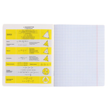Subject notebook, 48 sheets, cage, geometry, Erichkrause "BENFORMED", plastic cover silk-screen cover, Bellar Beliges 100%, info block-3