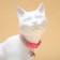 Koshachi collar "tenderness", with a bell and suspension, 30 x 1 cm, polyester, pink