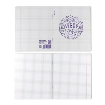 Subject notebook, 48 sheets, cage, algebra Erichkrause "Chaos", plastic cover silk-screen cover, OFSET BELICT 100%, information block-2