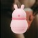 Rabbit's wave clitoris stimulator, 12 modes, battery, USB ZU, pink