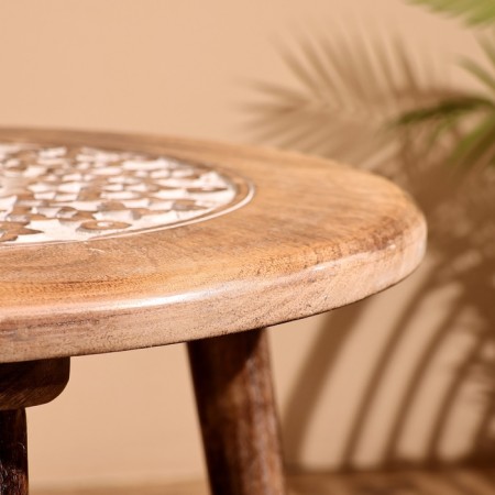 Coffee table 45x45x50 cm, mane-4