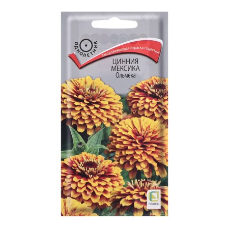 Cinnia flowers "Mexico Olmek", 10pcs