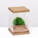 Box for flowers with a vase and PVC windows, folding, 16 x 23 x 16 cm, craft