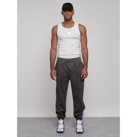 Joggers are sports male, size 50, gray color