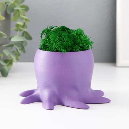 Concrete Kashpo "Osminog" height 7 cm, d- 6.5 cm. Violet with moss (moss green. Stabilizir)-4