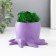 Concrete Kashpo "Osminog" height 7 cm, d- 6.5 cm. Violet with moss (moss green. Stabilizir)
