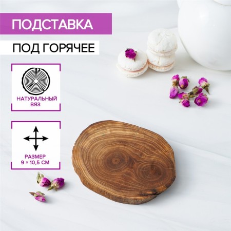 Hot magistro stand, from natural elm, mix