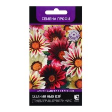 Seeds of Gasiania Flowering New Day Stivberry Shortkeke Mix, 10pcs