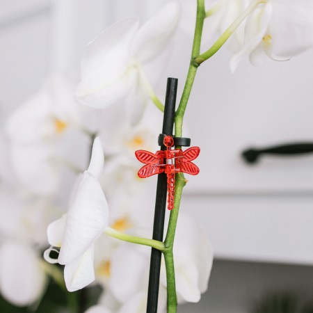 Clips for Plants "Dragonfly", set of 10 pcs., Mix, Greengo-11