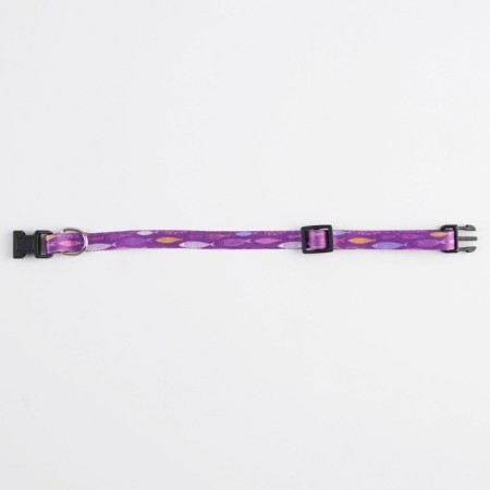 A collar for dogs and cats with Fasteks "Fish", 30x1 cm-5
