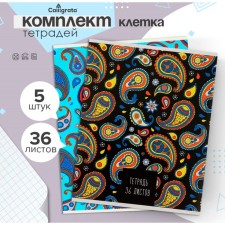 A set of notebooks of 5 pieces, 36 sheets in the Calligrata “Patterns” cage, covered cardboard, offset block