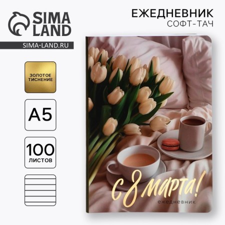 Diary A5+, 100 sheets soft region.