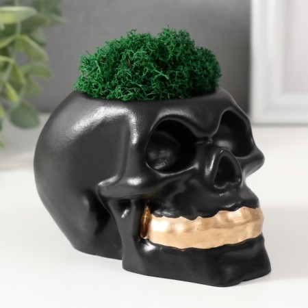 Concrete Kashpo "Skull Money" with moss 7x11 cm black with golden teeth (moss green stabil)-1