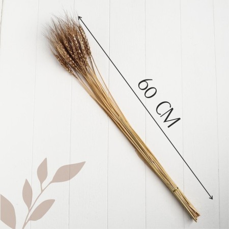 Dry Column of wheat, set 30 pcs., Golden color-3
