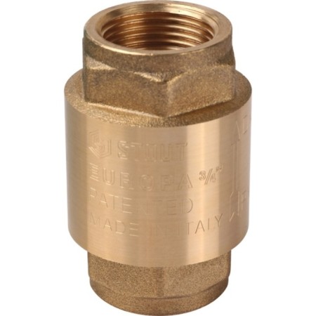 Reverse valve Stout SVC-0011-0000, 3/4 ", spring, coupling, with a metal saddle