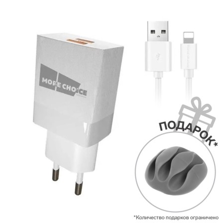 Network charger More Choice NC24M, 2.1A, Micro USB cable, white