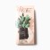 Set of female socks KAFTAN "New Year's miracles" size 36-39 (23-25 ​​cm), 5 pairs