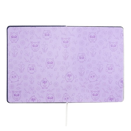 Universal diary for grade 1-11 OWL, solid cover, artificial leather, foam rubber, liesse, 80 g/m2-3