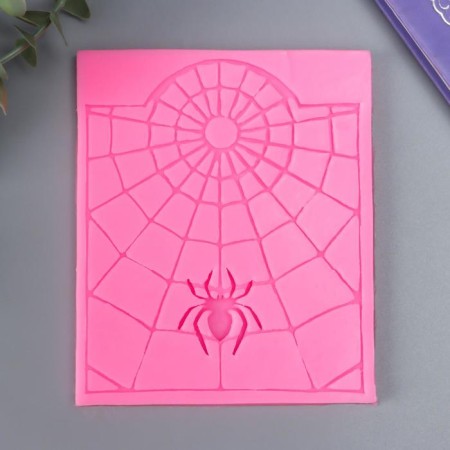 Mold Silicon "Spider with a web" 12x10x0.7 cm