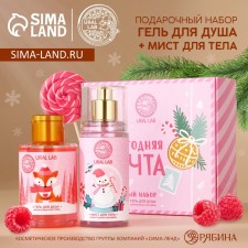New Year. A gift set of cosmetics New Year, shower gel 100 ml and body mist 75 ml